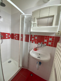 Prodej domu, 160 m2, Aš