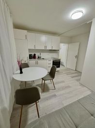 Pronájem bytu 1+kk v osobním vlastnictví, 39 m2, Praha 2 - Nové Město