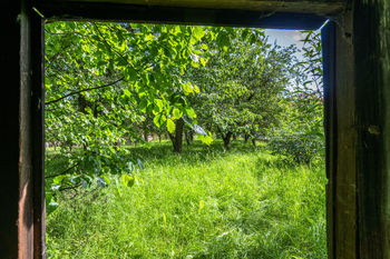 Prodej domu, 109 m2, Kdousov