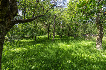 Prodej domu, 109 m2, Kdousov
