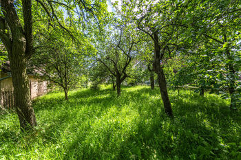 Prodej domu, 109 m2, Kdousov