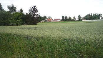 Prodej pozemku, 985 m2, Hořesedly
