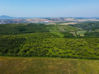 Prodej pozemku, 3780 m2, Hustopeče