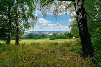 Prodej pozemku, 8451 m2, Krhová