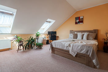 Prodej domu, 276 m2, Hodonín