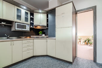 Prodej domu, 276 m2, Hodonín