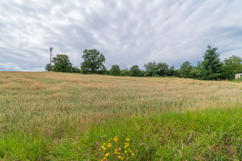 Prodej pozemku, 1013 m2, Cekov