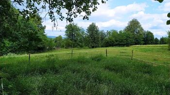 Prodej pozemku, 7880 m2, Mladějov na Moravě