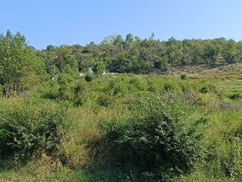 Prodej pozemku, 2650 m2, Žalhostice