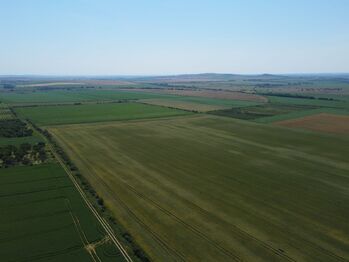 Prodej pozemku, 11875 m2, Hustopeče