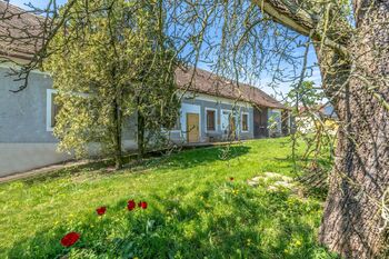 Prodej domu, 180 m2, Dobrovice