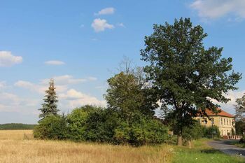 Prodej domu, 260 m2, Čistá