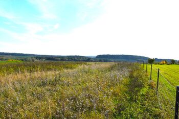 Prodej pozemku, 1186 m2, Kluky