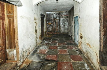 Prodej domu, 177 m2, Černošín