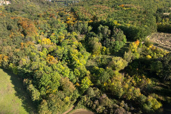 Prodej pozemku, 17570 m2, null