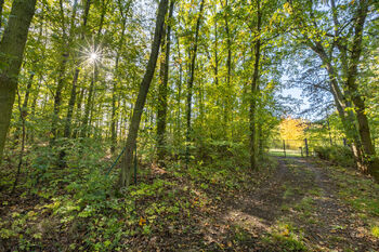 Prodej pozemku, 17570 m2, null