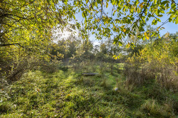 Prodej pozemku, 17570 m2, null