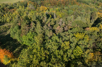 Prodej pozemku, 17570 m2, null