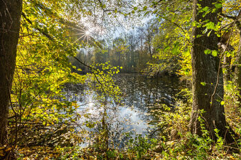 Prodej pozemku, 359791 m2, Dolní Město
