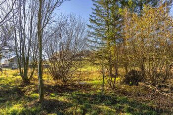 Prodej pozemku, 6840 m2, Bělá pod Pradědem
