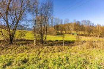 Prodej pozemku, 6840 m2, Bělá pod Pradědem