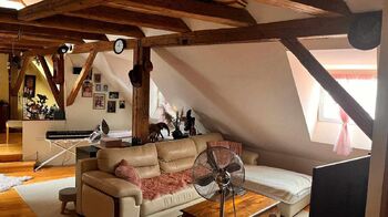 Prodej domu, 580 m2, Cheb