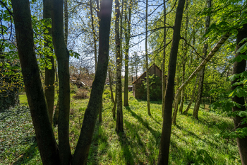 Prodej domu, 60 m2, Rašovice