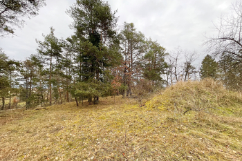 Prodej pozemku, 2467 m2, Zvíkovské Podhradí