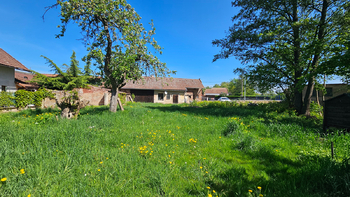 Prodej domu, 180 m2, Nechanice