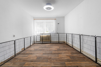 Prodej domu, 450 m2, Vejvanov