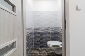 Prodej domu, 450 m2, Vejvanov