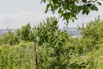 Prodej pozemku, 901 m2, Brno