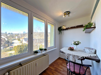 Prodej bytu 1+1 v družstevním vlastnictví, 42 m2, Husinec