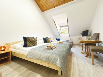 Prodej domu, 392 m2, Volary