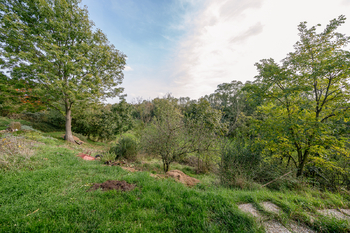Prodej domu, 120 m2, Zlončice