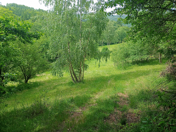 Prodej pozemku, 7666 m2, Křemže