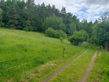 Prodej pozemku, 7666 m2, Křemže