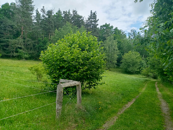 Prodej pozemku, 7666 m2, Křemže