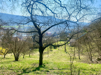 Prodej pozemku, 3807 m2, Ústí nad Labem