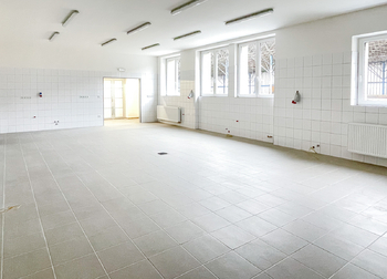 Pronájem komerčního objektu, 197 m2, Sudoměřice u Tábora
