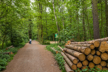 Prodej domu, 135 m2, Kladno