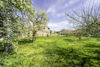Prodej domu, 90 m2, Poděbrady