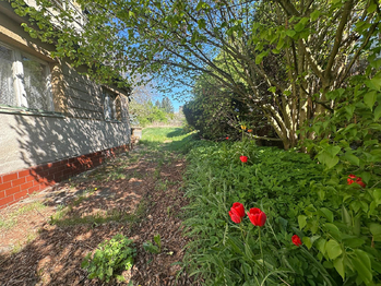 Prodej domu, 220 m2, Kralovice