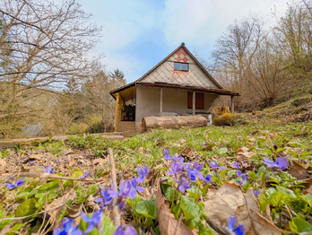 Prodej chaty / chalupy, 34 m2, Nižbor