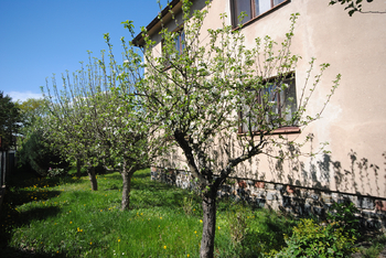 Prodej domu, 120 m2, Cerhenice
