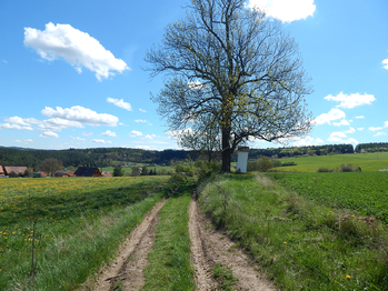 Prodej pozemku, 1716 m2, Velká Buková