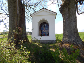 Prodej pozemku, 1716 m2, Velká Buková