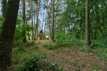 Prodej domu, 51 m2, Žďár nad Orlicí