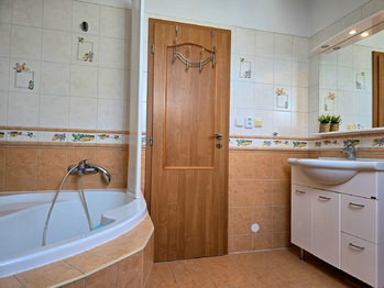 Prodej domu, 319 m2, Moravany