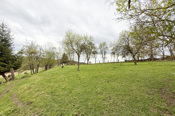 Prodej domu, 119 m2, Jickovice